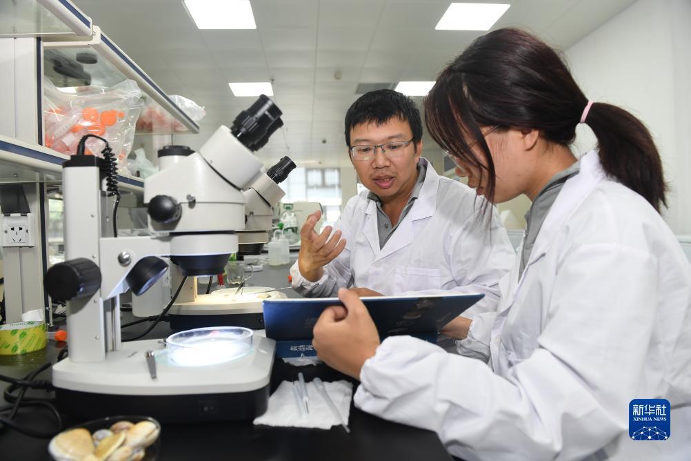 澳门威斯尼斯人计划